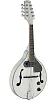 Stagg M50E WH Электроакустическая мандолина.-0