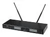 LAudio LS-Q5-2M Двухканальная вокальная радиосистема, 2 ручных передатчика.-4